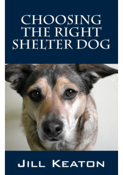 Choosing the Right Shelter Dog