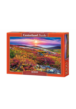 Puzzle 1000 Nothern Palette CASTOR