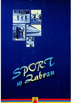 Sport w Zabrzu