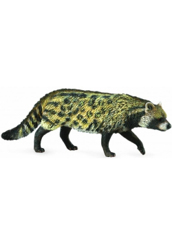 Kot Wiwera Civet African