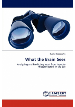 What the Brain Sees