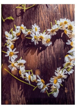 Fotoalbum kieszeniowy szyty Braider 2