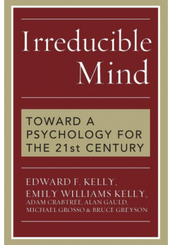 Irreducible Mind