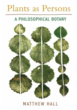 Plants as Persons