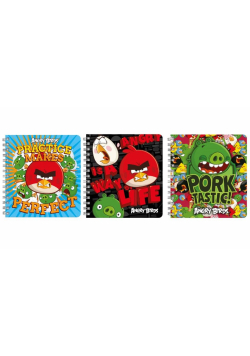 Kołonotatnik Angry Birds (10szt) DERFORM