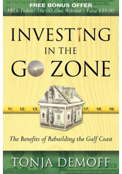Investing in the Go Zone