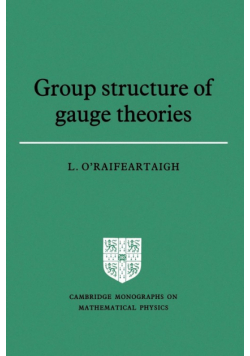 Group Structure of Gauge Theories