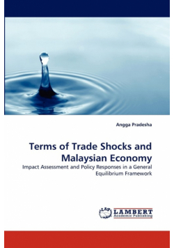 Terms of Trade Shocks and Malaysian Economy