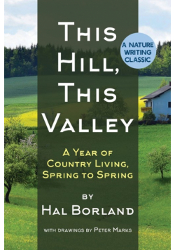 This Hill, This Valley