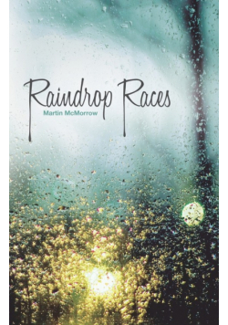 Raindrop Races