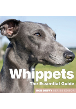 Whippets
