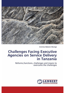 Challenges Facing Executive Agencies on Service Delivery in Tanzania