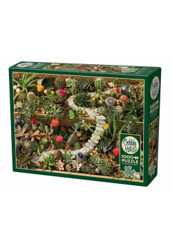 Puzzle 1000 Sukulenty w ogrodzie