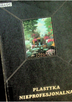 Plastyka nieprofesjonalna