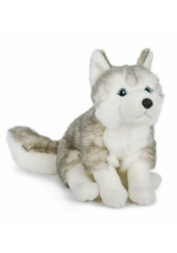 Husky 25cm