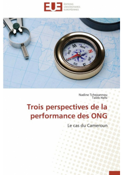 Trois perspectives de la performance des ong