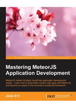 Mastering MeteorJS Application Development