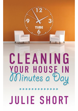 Cleaning Your House in Minutes a Day