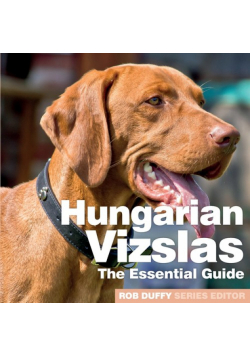 Hungarian Vizslas