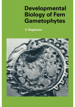 Developmental Biology of Fern Gametophytes