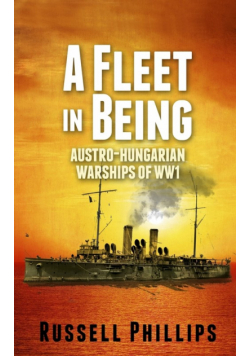 A Fleet in Being