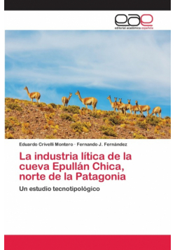 La industria lítica de la cueva Epullán Chica, norte de la Patagonia