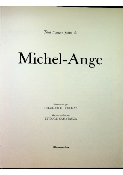 Michel Ange