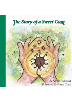 The Story of a Sweet Gum