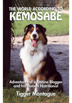 The World According to Kemosabe