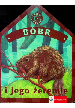 Bóbr i jego żeremie