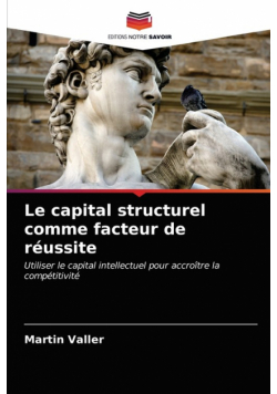 Le capital structurel comme facteur de réussite