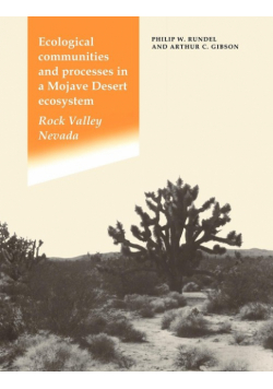 Ecological Communities and Processes in a Mojave Desert Ecosystem