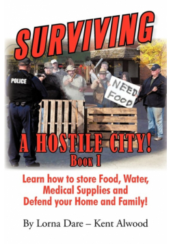 Surviving a Hostile City!