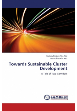 Towards Sustainable Cluster Development