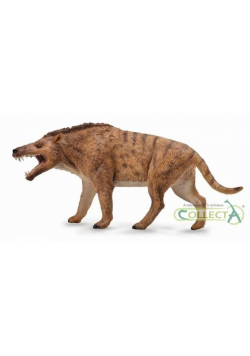 Andrewsarchus