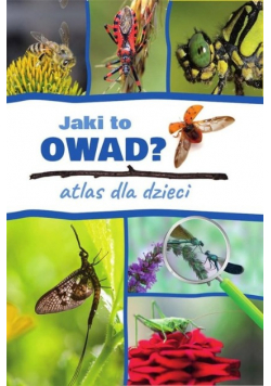 Jaki to owad Atlas dla dzieci