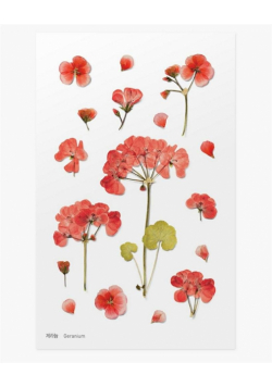 Naklejki ozdobne kwiaty - Geranium