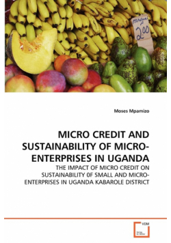 Micro Credit And Sustainability Of Micro-Enterprises In Uganda