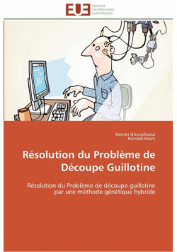 Résolution du problème de découpe guillotine