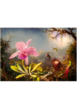Puzzle 1000 Orchidea Cattleya i trzy kolibry