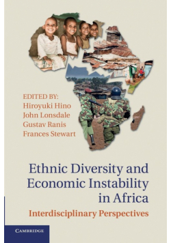 Ethnic Diversity and Economic Instability in Africa