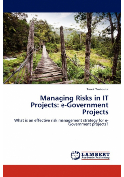 Managing Risks in It Projects