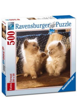 Puzzle 500 Kocięta Perskie