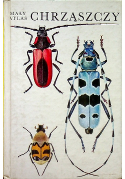 Mały atlas chrząszczy