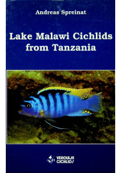 Lake Malawi Cichlids from Tanzania