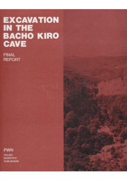 Excavation in the Bacho Kiro Cave