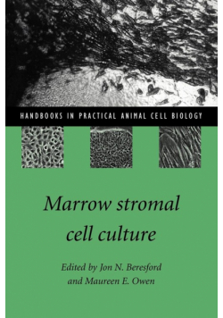 Marrow Stromal Cell Culture