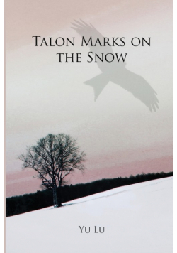 Talon Marks on the Snow