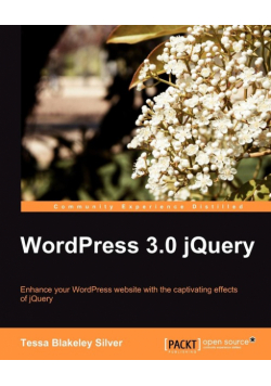 Wordpress 3.0 Jquery
