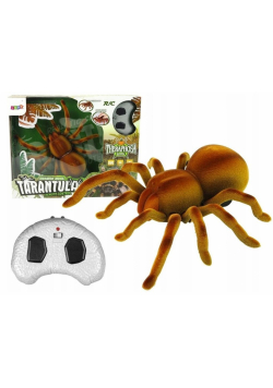 Zdalnie sterowany pająk tarantula